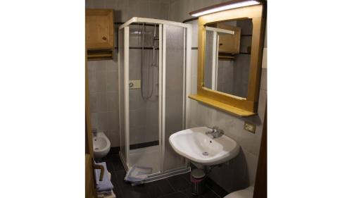 コルティーナ・ダンペッツォにあるCristallo & Faloria Suite Apartmentsの洗面台と鏡付きシャワーを備えたバスルーム