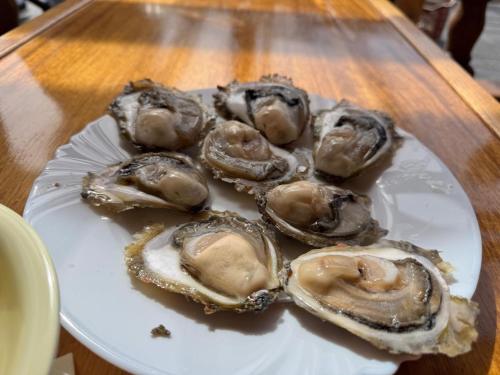 a plate of oysters on a wooden table at Sreser Domus Nostrae - Peljesac 2 Only adults in Sreser