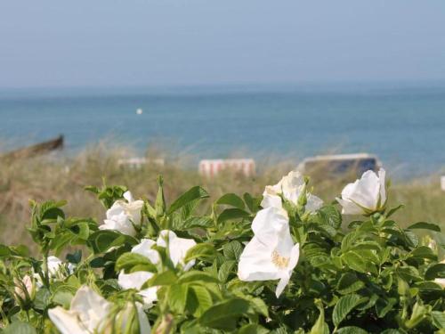 a bush with white flowers in front of the ocean at Sch ne Wohnung in Kr pelin in der N he von Meer in Kröpelin