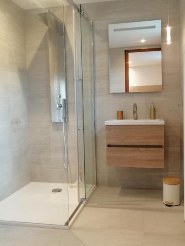 une douche avec une porte vitrée dans une salle de bain dans l'établissement GÎTES COSY Ohnenheim 1-12 pers, maison Cosy 180m2 et maison Cosy2 54m2, à Ohnenheim