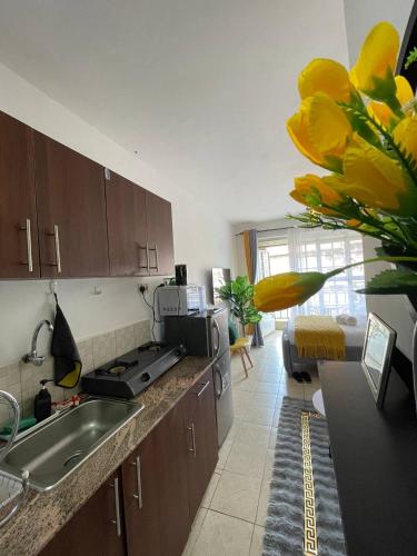 Η κουζίνα ή μικρή κουζίνα στο Alicia homes