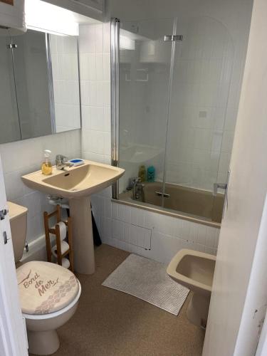 une salle de bain avec un lavabo, des toilettes et une douche dans l'établissement Joli studio - 1ere ligne- Front de mer Royan, à Royan