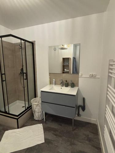 une salle de bain avec un lavabo et une douche dans l'établissement Appartement cosy à Cherbourg!, à Cherbourg en Cotentin