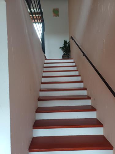 a stairway with red and white stairs and a plant at Rodinný dům Polanka in Třebíč
