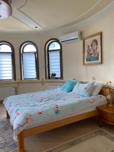 ein Schlafzimmer mit einem großen Bett in einem Zimmer mit Fenstern in der Unterkunft Studio Carobna Dunja in Banja Koviljača