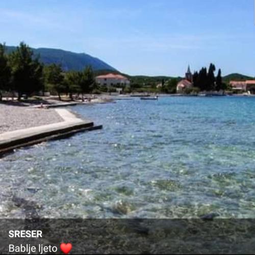 a large body of water with a beach and trees at Sreser Domus Nostrae - Peljesac 2 Only adults in Sreser