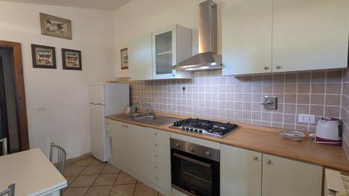 a kitchen with a sink and a stove top oven at Podere Isabella in San Vincenzo