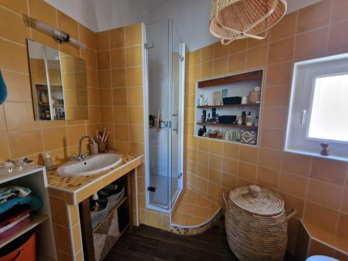 une salle de bain avec un lavabo et une douche dans l'établissement Magnifique maison de ville avec piscine au cœur de la Provence, à Salon-de-Provence