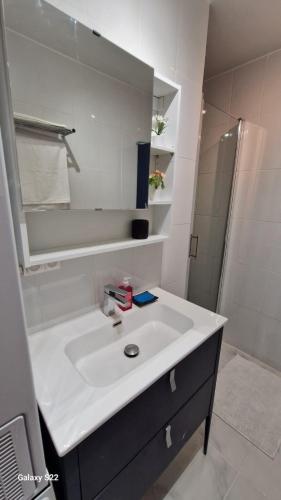 une salle de bain avec un lavabo blanc et une douche dans l'établissement Apartamento en Montpellier, à Montpellier