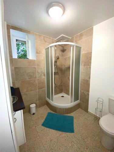 a bathroom with a shower with a blue rug at Studio des Anges #2 in Sauve
