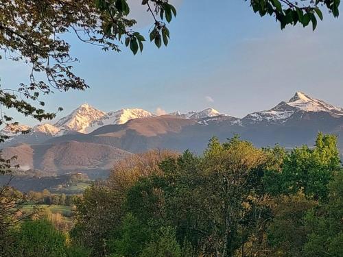 Un Petit Coin de Paradis