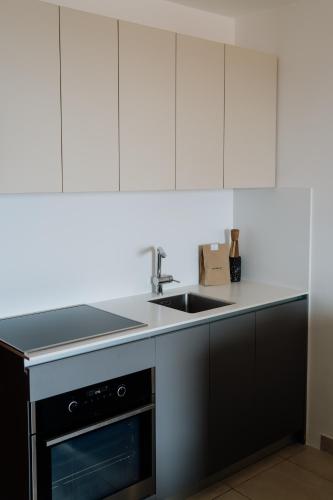 Η κουζίνα ή μικρή κουζίνα στο Apartmaji Punta
