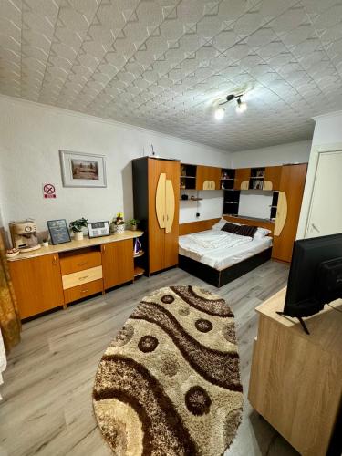 a living room with a bed and a large rug at Damian House in Drobeta-Turnu Severin
