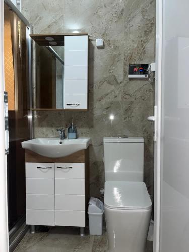a bathroom with a sink and a toilet and a mirror at Stella 2 Apartment in Negotino