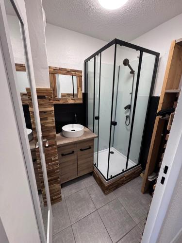 une salle de bain avec douche et lavabo dans l'établissement Joli studio avec terrasse, à Sallanches