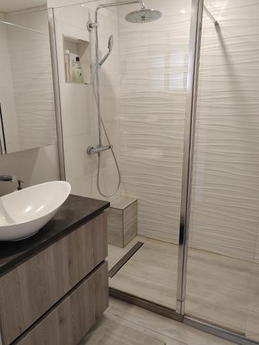 une salle de bain avec un lavabo et une douche dans l'établissement Pointe Rouge near beach & marina, à Marseille