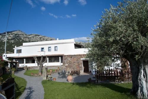 a white building with a tree in front of it at Turismo Rurale Belvedere Pradonos in Dorgali