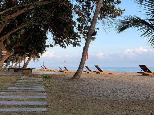 a beach with lounge chairs and palm trees and the ocean at Cocobeach Palomino in Palomino