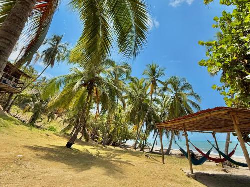 a palm tree and a hammock on a beach at Cocobeach Palomino in Palomino
