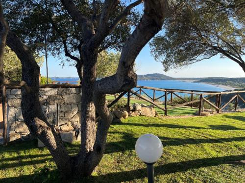 a tree in the grass next to a stone wall at Villa Acquamarina a 2 passi dal mare in Simius