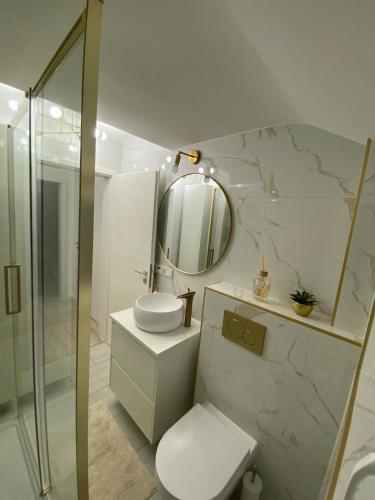 a bathroom with a toilet and a mirror at Ferienwohnung in ruhiger Lage in Haiger