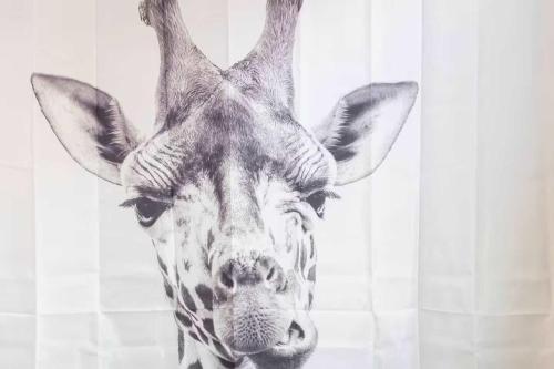 Animales en el apartamento o alrededores