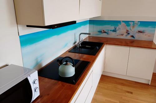 Kuchyň nebo kuchyňský kout v ubytování Apartamenty Aneta