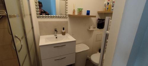 a small bathroom with a sink and a mirror at Studio meublé centre ville- gare Villers Cotterets in Villers-Cotterêts