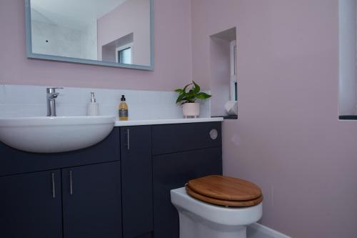 a bathroom with a sink and a toilet with a wooden seat at No32 Carmarthen Road in Llandeilo