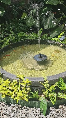 a bird bath with a fountain in a garden at A Piece of Sun in Panama City