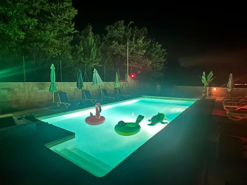 a swimming pool at night with two swans in it at Lacoume Saint Jacques in Auch