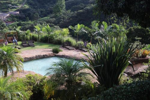 a pool in a garden with palm trees and benches at Hotel Recanto do Ouro in Ouro Preto