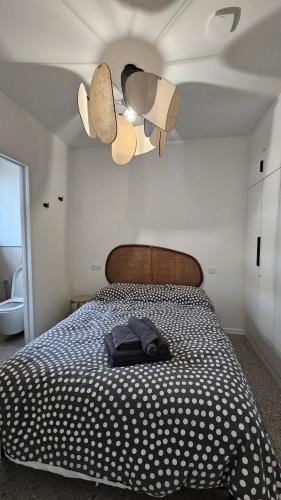Deux pièces cosy, front de mer, terrasse et 2 SdB