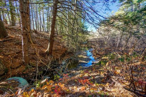 a stream in a forest with trees and a river at Tiny A-Frame Romantic Getaway in Wiscasset