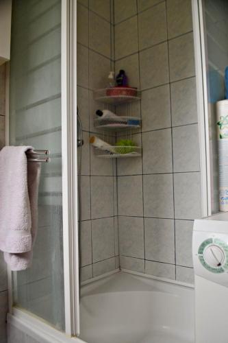 Apartment Aneta