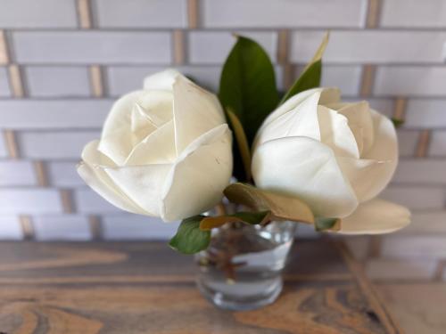 Φωτογραφία από το άλμπουμ του White Magnolia Galveston - Walk to Beach, Strand, Cruise, Pleasure Pier σε Γκάλβεστον