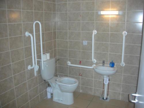 ClonmoreにあるGreen Adventure EcoHostelのバスルーム(トイレ、洗面台付)