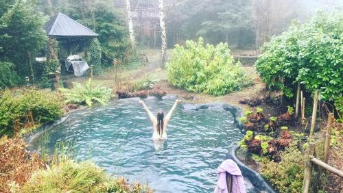 a person swimming in a pool in a garden at Pucón Volcano Forest SPA in Pucón