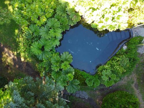an overhead view of a pond surrounded by trees at Pucón Volcano Forest SPA in Pucón