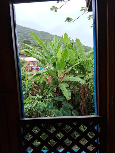 a window with a view of a plant at Solar da Lagoa in Florianópolis