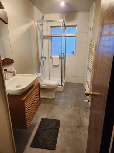 a bathroom with a sink toilet and a shower at Casa Bordemar in Castro