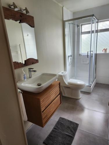 a bathroom with a sink and a shower and a toilet at Casa Bordemar in Castro