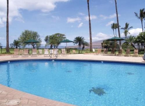 a large swimming pool with chairs and palm trees at Luana Kai C104 condo in Kihei