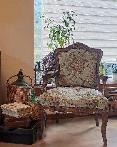 a chair sitting in a living room with a plant at Cómodo, acogedor, gran ubicación y desayuno sureno in Osorno