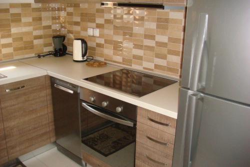 a kitchen with a sink and a refrigerator at Villa Angela in Sikia