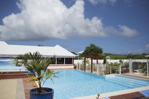 een groot zwembad met een palmboom naast een gebouw bij Gîte Hibiscus piscine partagée in Saint-François