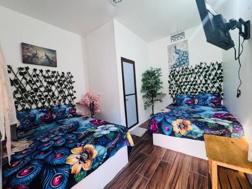 a bedroom with a bed and a tv in it at Refugio de las Aves in Chachalacas