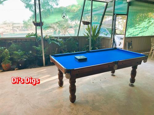 a blue pool table in a room with plants at Di's Dugouts in Coober Pedy