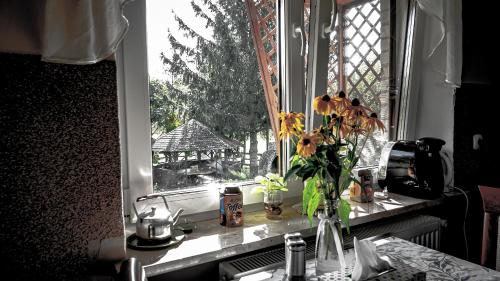 um vaso de flores sentado no peitoril da janela em Gospodarstwo agroturystyczne Biebrzanska Goscina em Karcewo