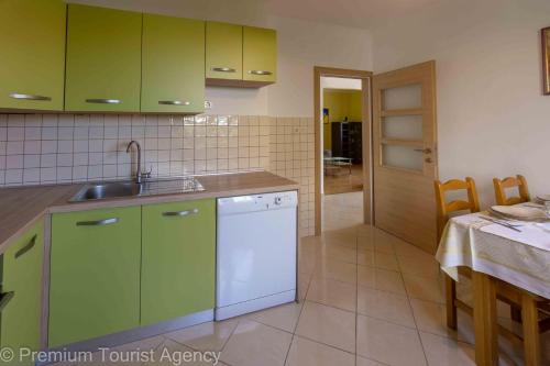 a kitchen with green cabinets and a sink and a table at Stanko in Kustići